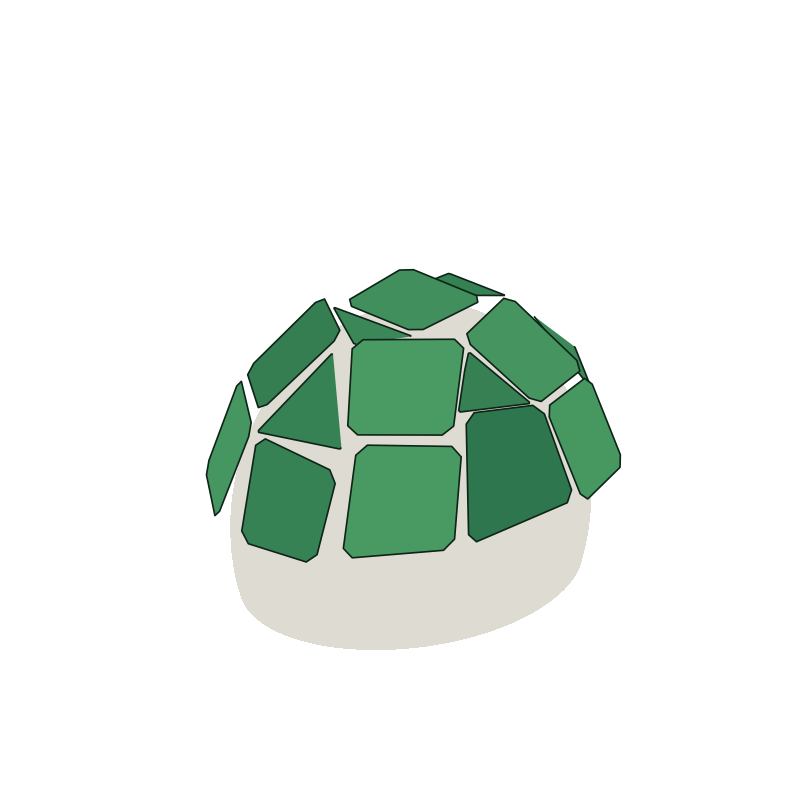 Polygons and fillers
